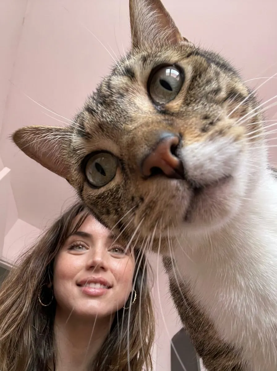 Промт: «Я и кот в кадре снизу вверх» - Фотосессия с вашим котом